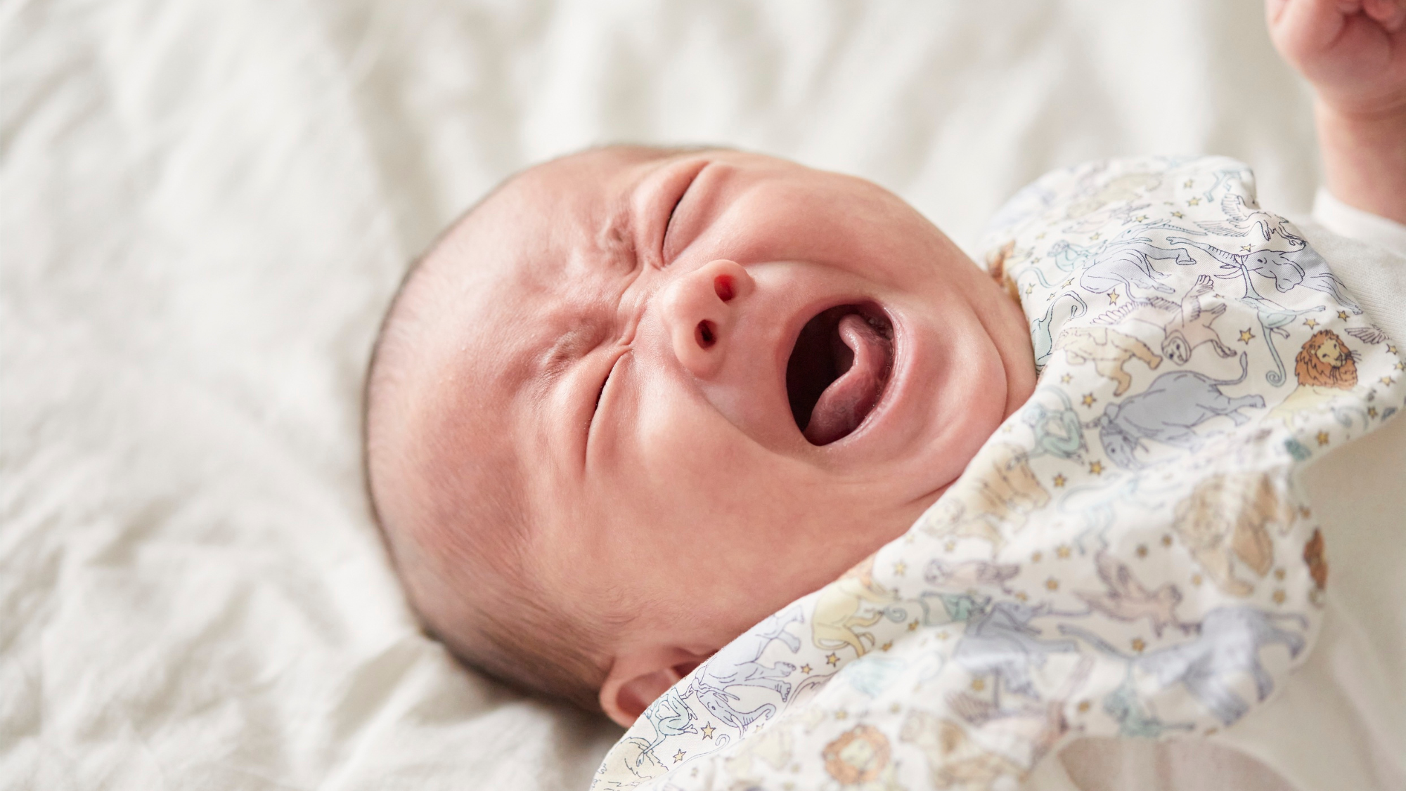 寶寶面對敏感困擾,媽媽有需要改變飲食習慣來降低寶寶日後出現敘敏感症的機會嗎?