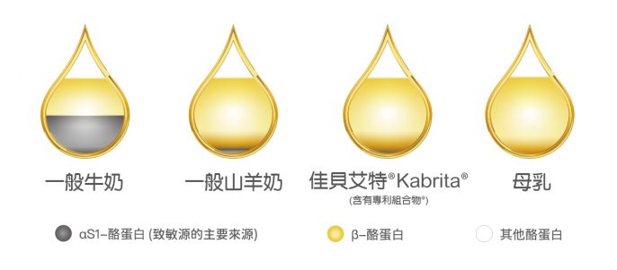 Kabrita佳貝艾特羊奶粉中的Alpha S1酪蛋白含量比牛奶低,所以對有牛奶蛋白敏感的寶寶來說,Kabrita羊奶粉是更溫和的選擇。
