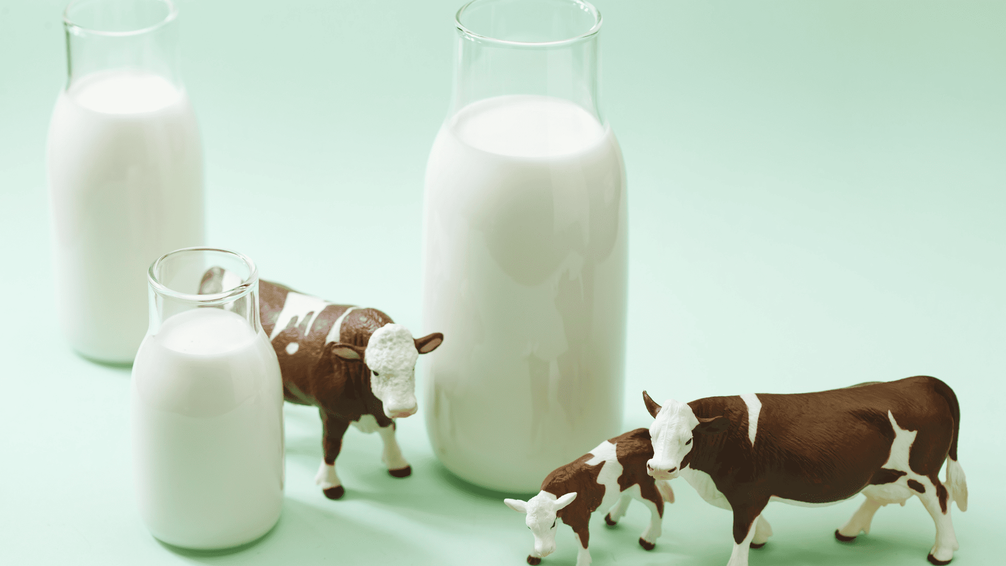 雖然市面上大部分配方奶粉都是以牛乳為基礎,但有部分寶寶在飲用牛奶粉後會出現牛奶蛋白敏感或腸胃不適問題。